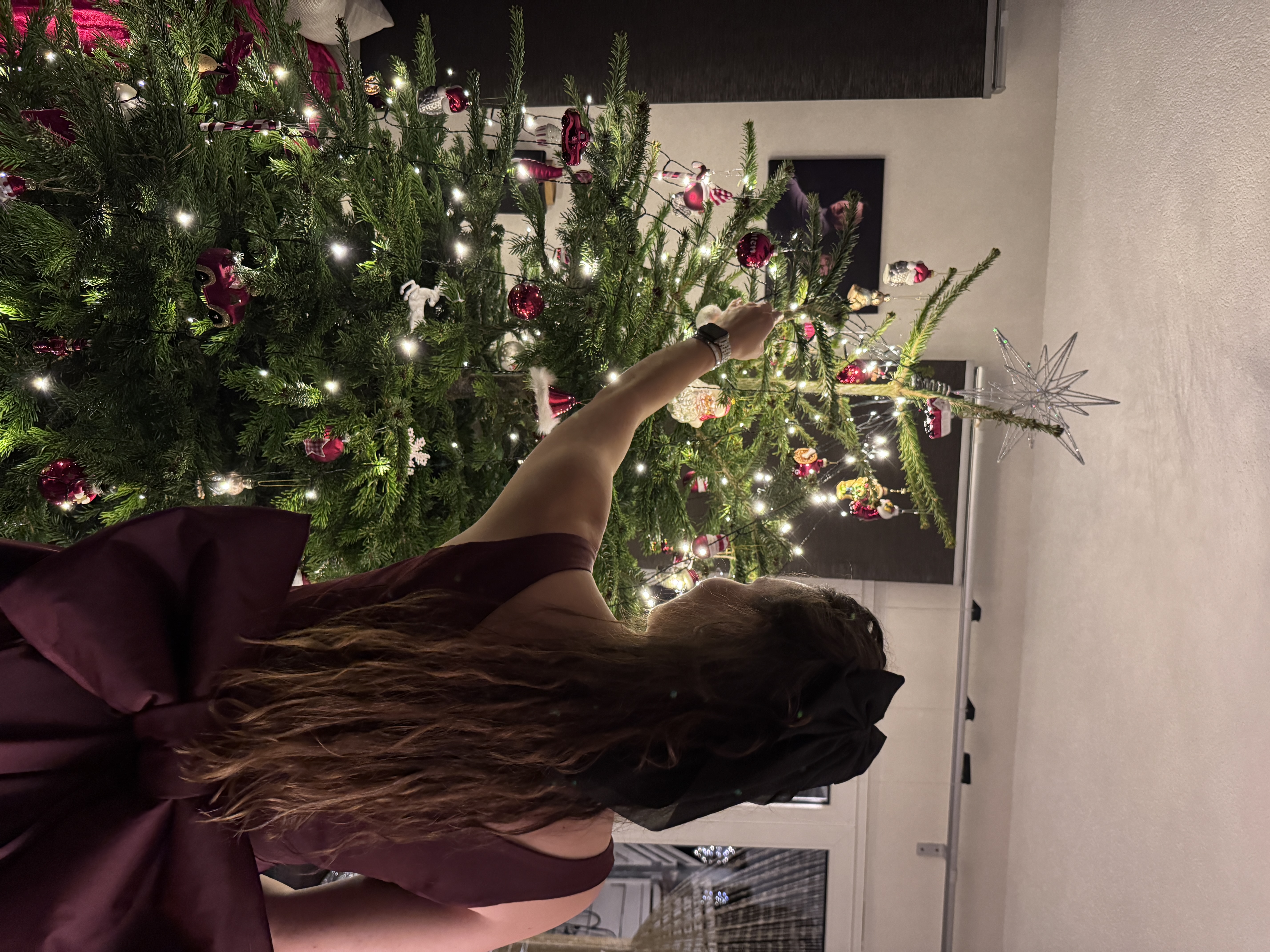 Red Christmas Dress detail